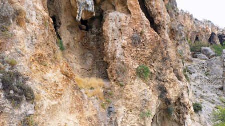 Photo for Eroded cliff close up. Rocky mountain detailed view. Huge weathered rock. - Royalty Free Image