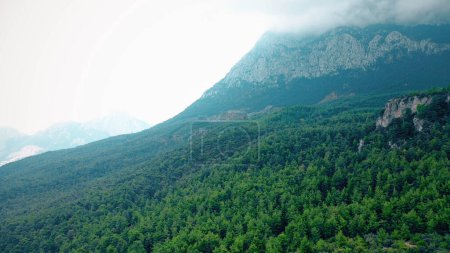 Téléchargez les photos : Vue aérienne des forêts de conifères pittoresques sur les pentes des montagnes. Nature panoramique arrière-plan. - en image libre de droit