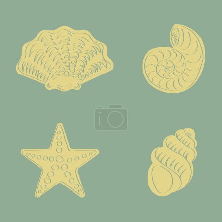 Foto de Conjunto de dibujo a mano criaturas marinas conchas y estrellas de mar en contorno y estilo plano - Imagen libre de derechos
