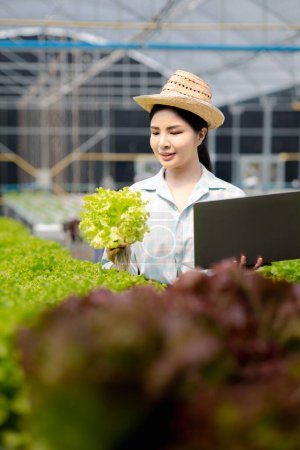 A gardener woman holding laptop in the hydroponics field grows wholesale hydroponic vegetables in restaurants and supermarkets, organic vegetables. growing vegetables in hydroponics concept. Poster 650560804