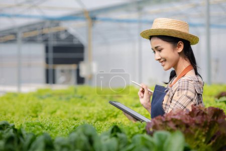 Female gardener holding the tablet in hydroponics field grows wholesale hydroponic vegetables in restaurants and supermarkets, organic vegetables. growing vegetables in hydroponics concept. mug #650562100