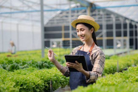Female gardener holding the tablet in hydroponics field grows wholesale hydroponic vegetables in restaurants and supermarkets, organic vegetables. growing vegetables in hydroponics concept. Poster 650562166