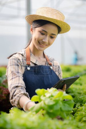 Female gardener holding the tablet in hydroponics field grows wholesale hydroponic vegetables in restaurants and supermarkets, organic vegetables. growing vegetables in hydroponics concept. Poster 650562308