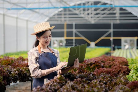 A gardener woman holding laptop in the hydroponics field grows wholesale hydroponic vegetables in restaurants and supermarkets, organic vegetables. growing vegetables in hydroponics concept. Poster 650562556