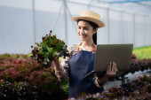 A gardener woman holding laptop in the hydroponics field grows wholesale hydroponic vegetables in restaurants and supermarkets, organic vegetables. growing vegetables in hydroponics concept. Poster #650562630