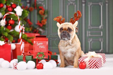 Photo for Christmas reindeer dog. French Bulldog with costume headband with antlers sitting next to Christmas decoration in front of green wall - Royalty Free Image