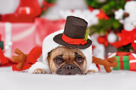 Téléchargez les photos : Chien Bulldog français portant un drôle de chapeau de bonhomme de neige avec un chapeau haut de forme devant la décoration de Noël saisonnière - en image libre de droit