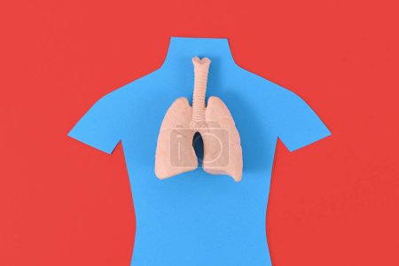 Foto de Modelo de órgano pulmonar en silueta en forma de persona azul - Imagen libre de derechos