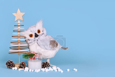 Seasonal Christmas decoration with snowy owl, wooden tree, candle, pine cones and snowballs on blue background with copy space