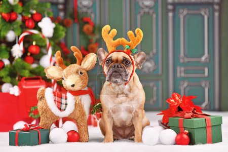 Photo for Cute French Bulldog dog with costume reindeer headband with antlers sitting next to Christmas decoration in front of green wall - Royalty Free Image