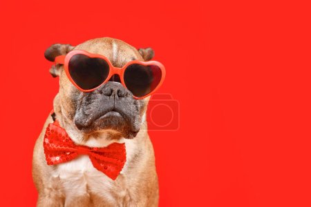 Lustige Französische Bulldogge mit herzförmiger Valentinstagsbrille und Fliege auf rotem Hintergrund mit Kopierraum