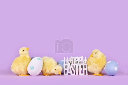 Pastel colored easter eggs, chicken and text 'Happy Easter' on violet background with copy space