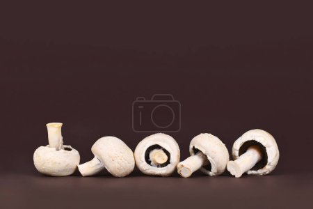 Cultivated button mushrooms 'Agaricus Bisporus' in a row on dark background with copy space