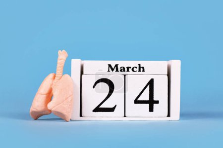 World Tuberculosis Day concept with lung organ model and calendar with date March 24th