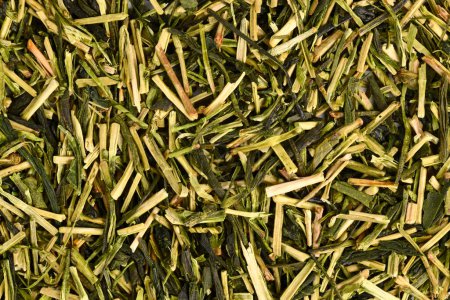 Close up of Japanese green twig tea herbs called 'Kukicha' made out of Camellia plant