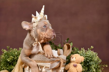 New Shade Isabella Tan French Bulldog dog with unicorn costume headband in front of brown background
