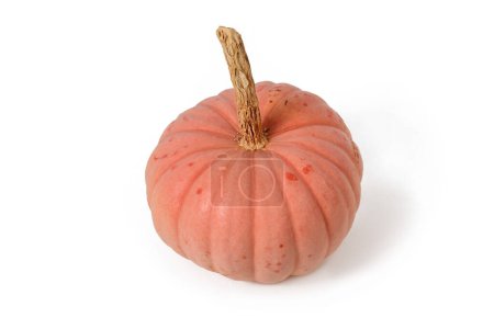 Single pastellrosa gefärbter 'Miss Sophie Pink' Halloween-Kürbis auf weißem Hintergrund