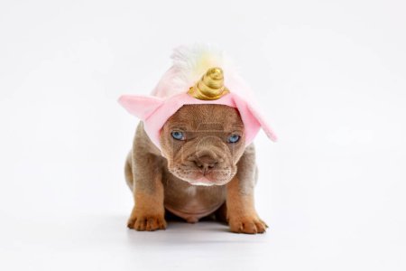 Photo for Cute French Bulldog dog puppy with cute pink unicorn hat with golden horn - Royalty Free Image