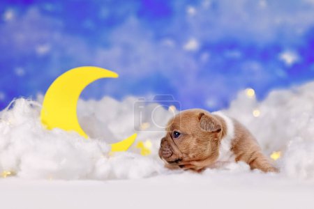 Lindo cachorro rojo cervatillo francés Bulldog entre nubes esponjosas con luna y estrella