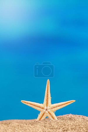Téléchargez les photos : Étoile de mer se dresse sur le sable sur la plage, derrière la mer. Vacances, plage, concept de voyage. Verticale. Espace de copie - en image libre de droit