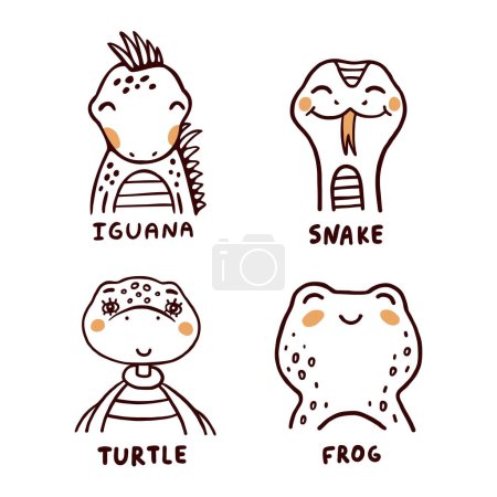 Illustration for Iguana, snake, turtle and frog childish vector illustrations set on white background. Reptiles representants with names for children education - Royalty Free Image
