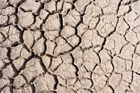 Photo for A close up view of a cracked and dry surface of mud - Royalty Free Image