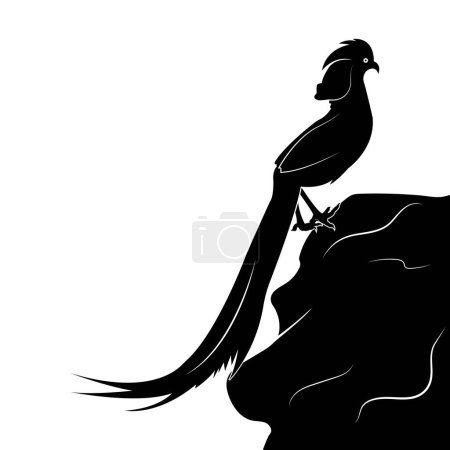 Illustration for Cendrawasih bird logo vector - Royalty Free Image