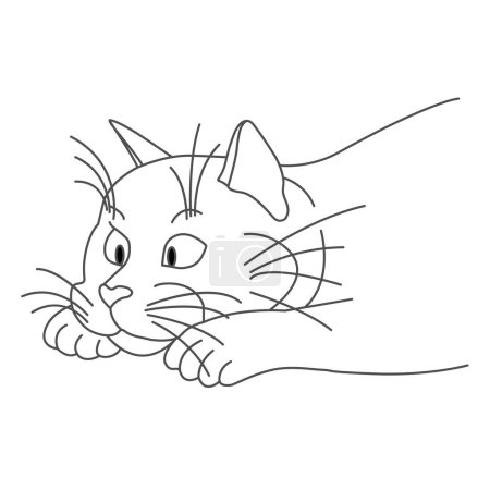 Téléchargez les photos : Drôle dessin animé chat chasse silhouette - en image libre de droit