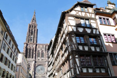 estrasburgo