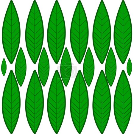 Photo for Green leaves pattern. illustration. Isolated on white background. - Royalty Free Image