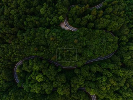 Photo for Serene Aerial View of Winding Road Through Lush Forest - Royalty Free Image