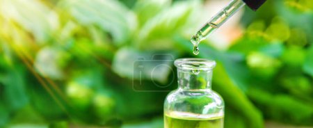 Foto de Extracto de aceite esencial de hierbas medicinales en una botella pequeña. Enfoque selectivo. Naturaleza. - Imagen libre de derechos