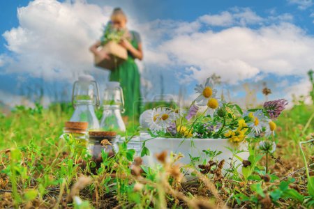 Foto de La mujer recoge hierbas medicinales. Enfoque selectivo. Naturaleza. - Imagen libre de derechos