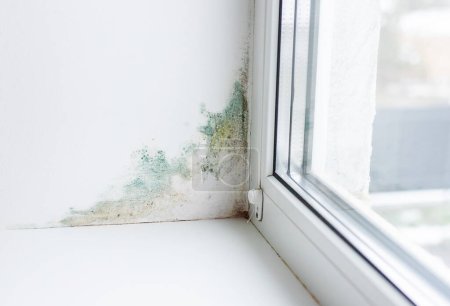 Foto de Pendiente cerca de la humedad del hongo ventana. Enfoque selectivo. Hogar.. - Imagen libre de derechos
