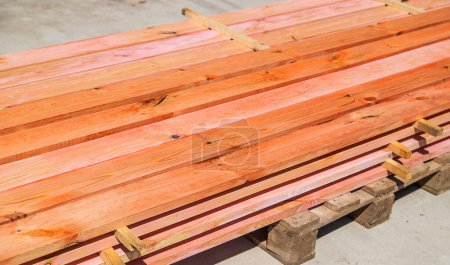 Téléchargez les photos : Traitez la planche de bois avec un antiseptique. Concentration sélective. Nature. - en image libre de droit