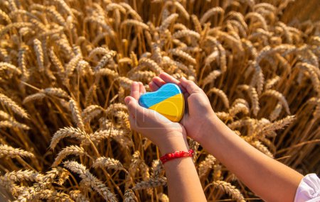 Enfant dans un champ de blé avec le drapeau de l'Ukraine. Concentration sélective. Nature.