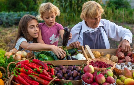 Foto de La abuela y la nieta venden verduras y frutas en el mercado de agricultores. Enfoque selectivo. alimentos. - Imagen libre de derechos