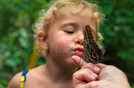 Foto de Un niño sostiene una hermosa mariposa. Enfoque selectivo. Naturaleza. - Imagen libre de derechos