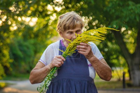 Eine ältere Frau reagiert allergisch auf Ragweed. Selektiver Fokus. Natur.