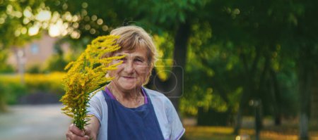 An elderly woman is allergic to ragweed. selective focus. Nature.