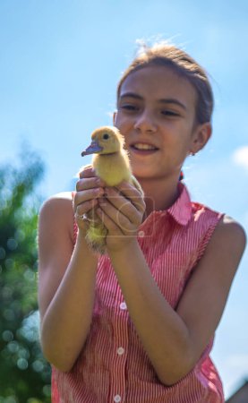 Photo for A child plays with a duckling. Selective focus. animal. - Royalty Free Image