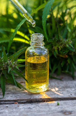 Photo for Hemp essential oil in a bottle. selective focus. nature. - Royalty Free Image