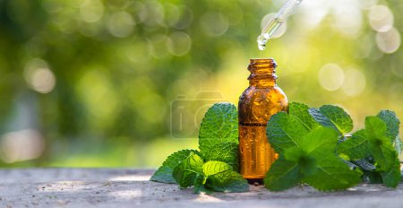 Photo for Peppermint essential oil in a bottle. selective focus. nature. - Royalty Free Image