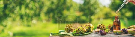 Photo for Horse chestnut extract in a bottle. selective focus. nature. - Royalty Free Image