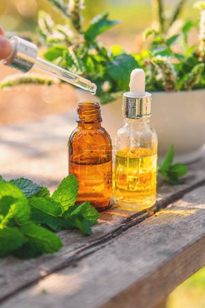 Photo for Peppermint essential oil in a bottle. selective focus. nature. - Royalty Free Image