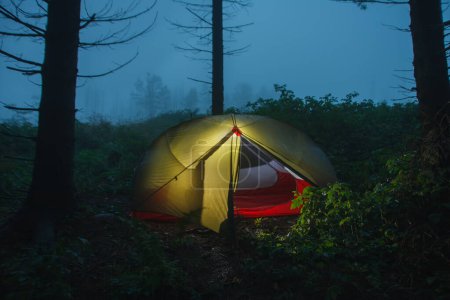 Téléchargez les photos : Tente libre légère verte pour 2 personnes en forêt le matin après la pluie dans les montagnes Beskid - en image libre de droit