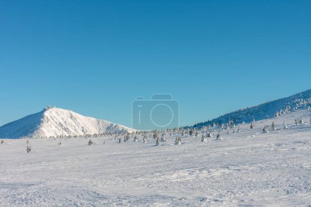 Der felsige Gipfel der Schneekoppe, Riesengebirge. Schneekoppe ist ein Gebirge an der Grenze zwischen Tschechien und Polen.