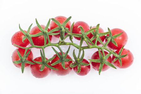 Photo for Branch of Fresh Cherry Tomatoes Isolated on White, Top View - Royalty Free Image