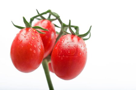 Photo for Cluster of Ripe Tomatoes, Frontal View - Royalty Free Image