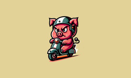 cochon colère équitation scooter vecteur plat design